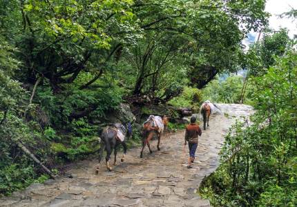 Divine Journey to Hemkunt Sahib