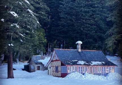 Amritsar to Dalhousie–Dharamshala Scenic Retreat