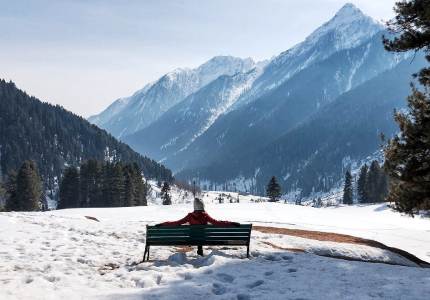 Kashmir Delight: Houseboats, Valleys & Peaks