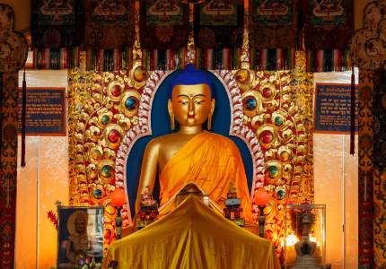 Himalayan Escape with Amritsar Highlights