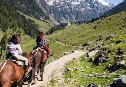 Majestic Kashmir Meadows & Mountains Tour