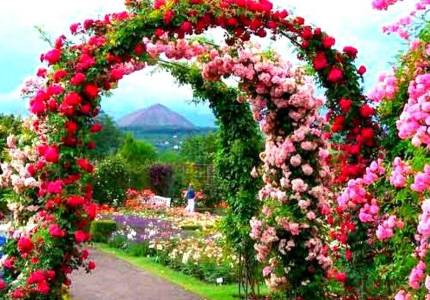 Shimla & Manali Mountain Escape