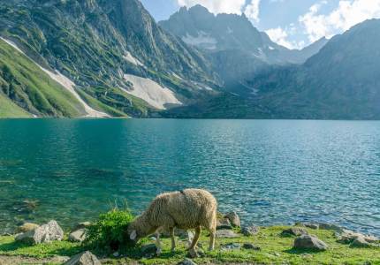 Pathankot to Kashmir Great Lakes Trek Tour