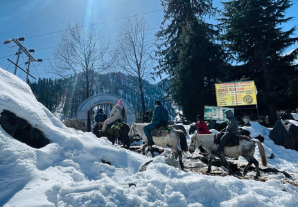 Golden Temple to Snowy Peaks Tour