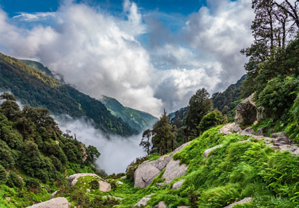 Himalayan Escape with Amritsar Highlights