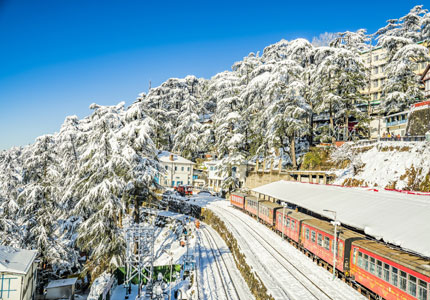 Shimla